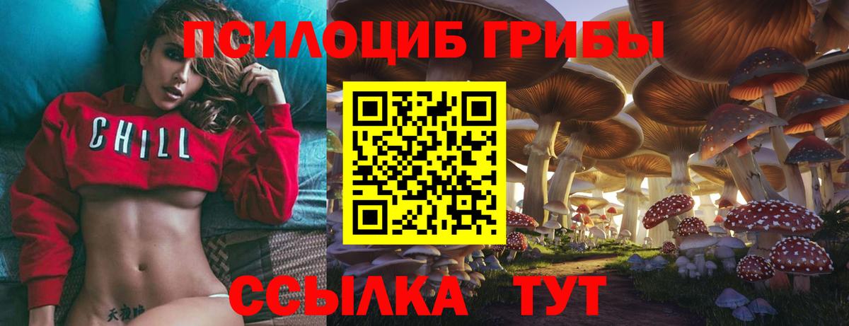 Галлюциногенные грибы мицелий Минеральные Воды