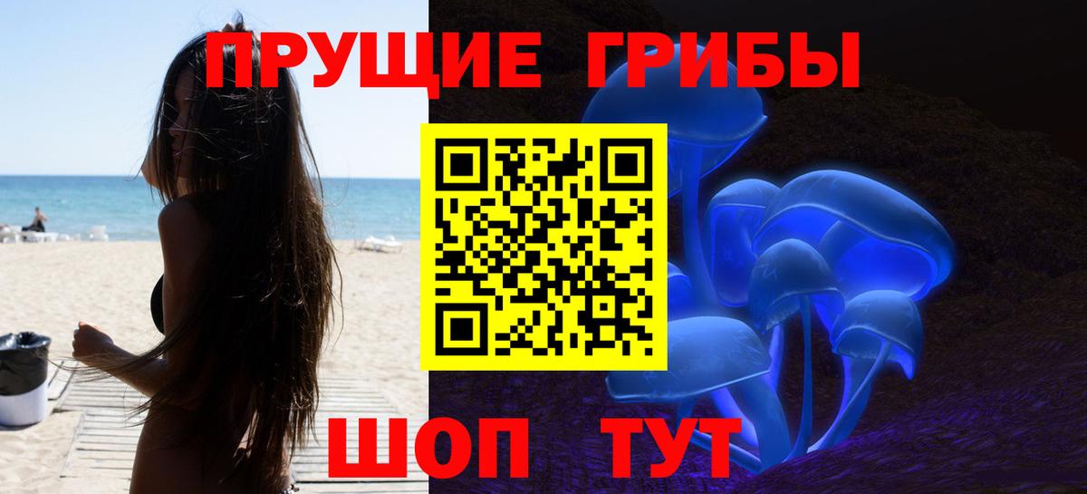 Галлюциногенные грибы GOLDEN TEACHER  где можно купить наркотик  Минеральные Воды  Вход с VPN 